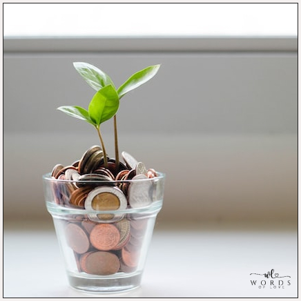 Kosten einer Freien Trauung symbolisiert mit einem Glas mit Münzen aus dem eine junge Pflanze wächst